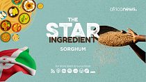 Podcast | Sorghum, a forgotten ancestral grain from Burundi