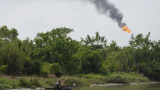 Nigeria: Niger Delta oil spill clean up 'total failure', leaked files say