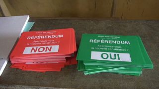 Voter turnout in focus as Gabonese await referendum results