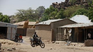 Cameroon: Rehabilitated ex-Boko Haram fighters start civilian lives