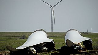 2023 was a record year for wind installations as world ramps up clean energy, report says