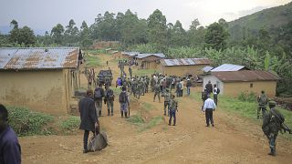 DR Congo rebel group disarms, UN mission says 