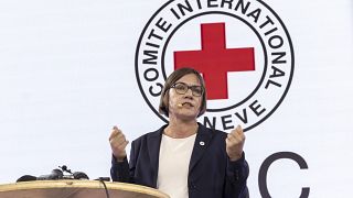 Geneva Conventions: Red Cross says war rulebook ignored in Gaza