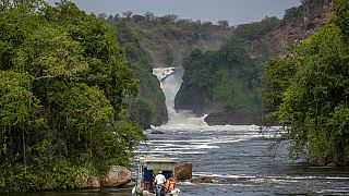 Murder of tourists in Uganda: London recommends avoiding national park