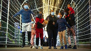 Johannesburg Zoo transforms into Festival of Light ahead of Christmas 