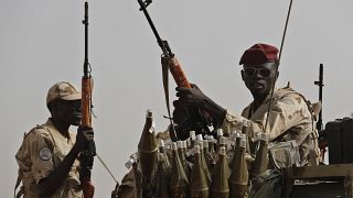 RSF militia accused of 'massacre' in Sudan's Gezira state 