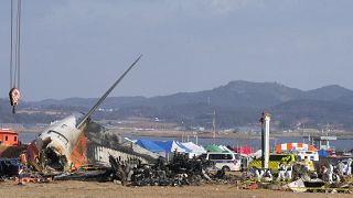 Aviation experts argue poor runway design to blame for South Korea crash