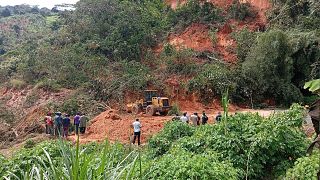 Cameroon: At least 4 dead and dozens missing after landslide in country's West region