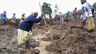 Dozens killed after landslides bury 40 homes in eastern Uganda