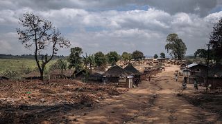 More than 20 killed in militia attack in northeast DR Congo - UN 