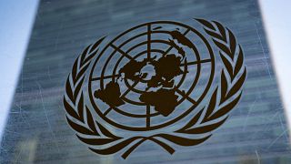 UN officials underline uneven progress in digital transformation worldwide 