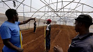 South African project helps deaf people build farming skills and find jobs