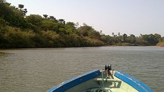 Senegal's Niokolo-Koba National Park removed from list of World Heritage in danger