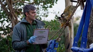 London Zoo caries out census of its huge population