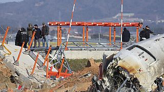 South Korea probes boeing Aircraft after crash kills 179