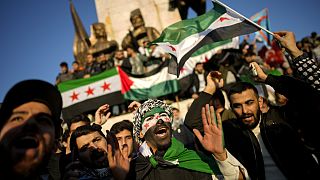 Syrian diaspora across Europe reacts to the downfall of Bashar al-Assad 