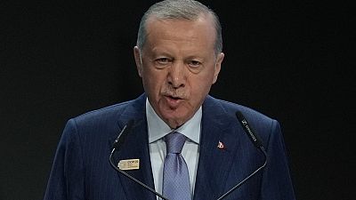 Turkey's Erdogan offers to mediate between Sudan and the UAE